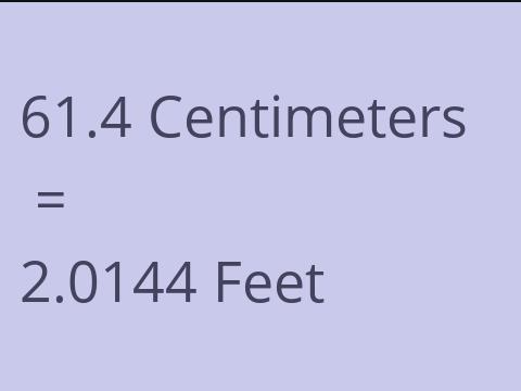 61.4 CM TO FEET