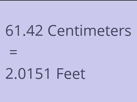 61.42 CM TO FEET