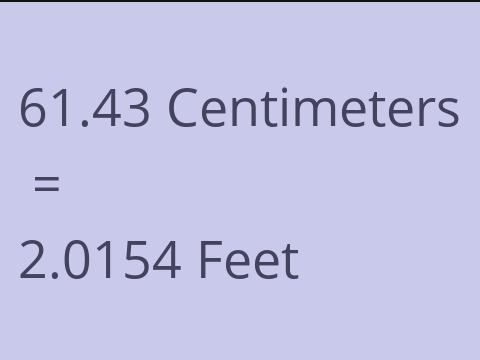 61.43 CM TO FEET