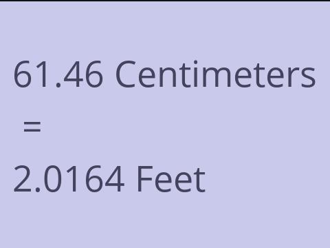 61.46 CM TO FEET