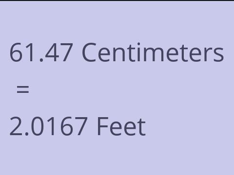 61.47 CM TO FEET