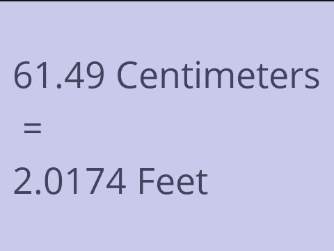 61.49 CM TO FEET