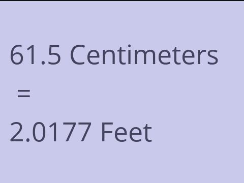 61.5 CM TO FEET