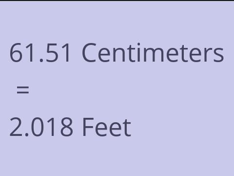 61.51 CM TO FEET