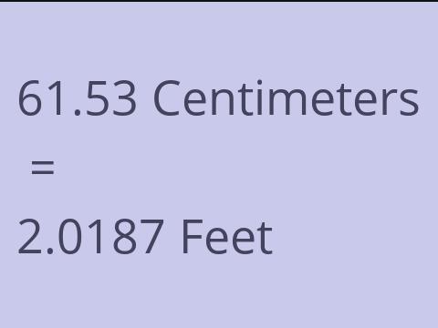 61.53 CM TO FEET