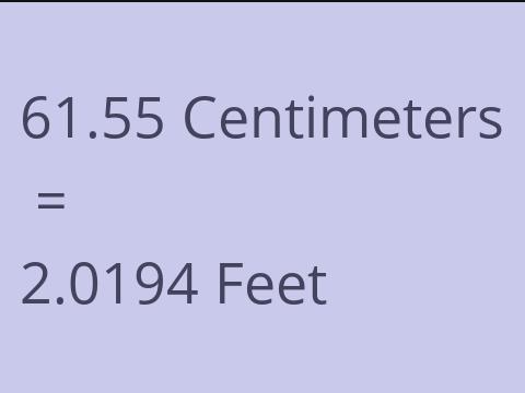 61.55 CM TO FEET