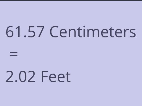 61.57 CM TO FEET