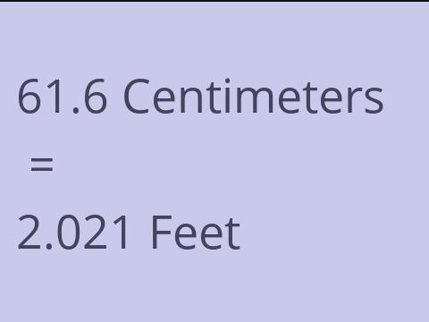 61.6 CM TO FEET