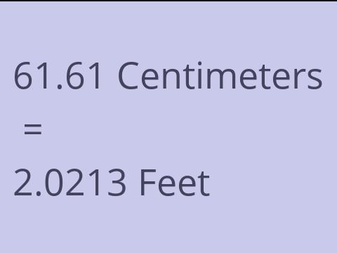 61.61 CM TO FEET