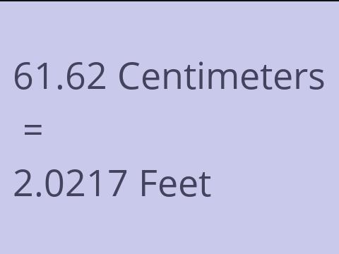 61.62 CM TO FEET