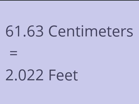 61.63 CM TO FEET