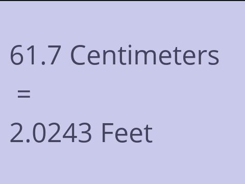 61.7 CM TO FEET