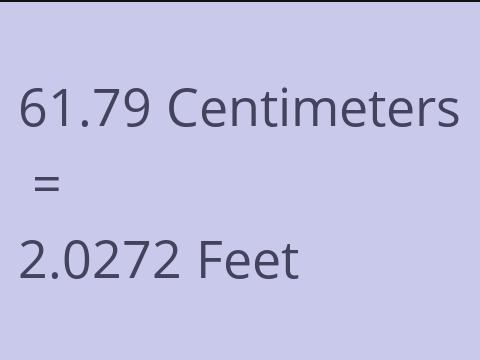 61.79 CM TO FEET