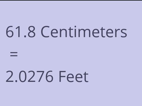 61.8 CM TO FEET