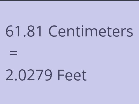 61.81 CM TO FEET