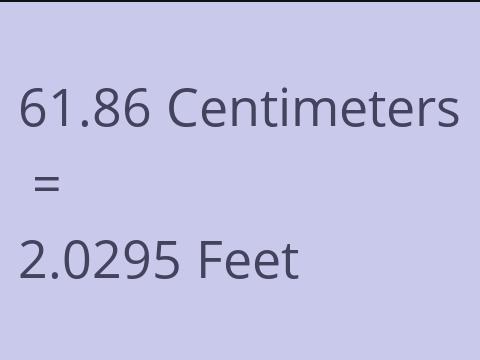 61.86 CM TO FEET