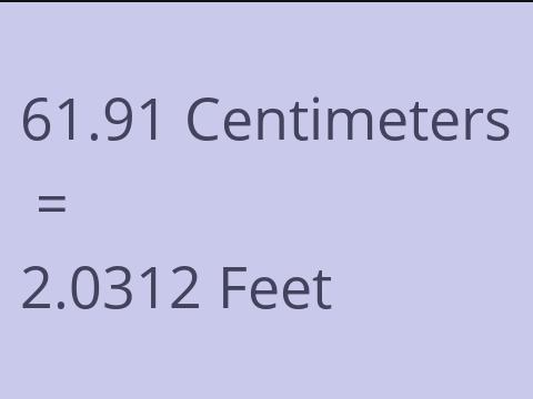 61.91 CM TO FEET