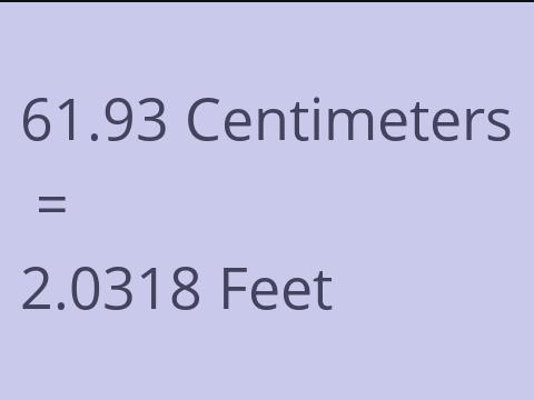 61.93 CM TO FEET