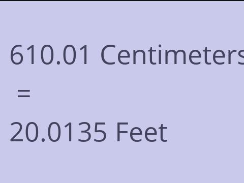 610.01 CM TO FEET