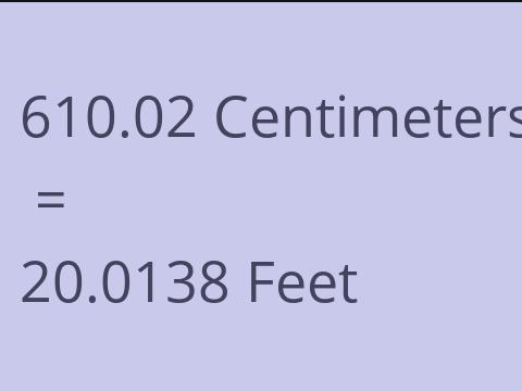 610.02 CM TO FEET