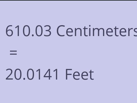 610.03 CM TO FEET