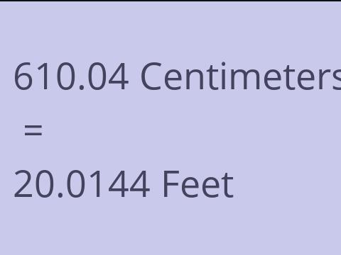 610.04 CM TO FEET