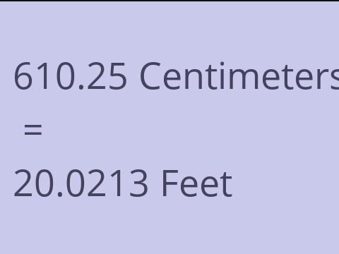 610.25 CM TO FEET