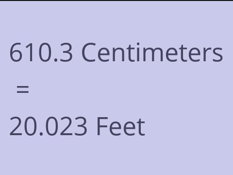 610.3 CM TO FEET