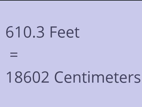 610.3 FEET TO CM