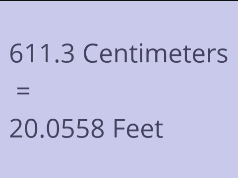 611.3 CM TO FEET