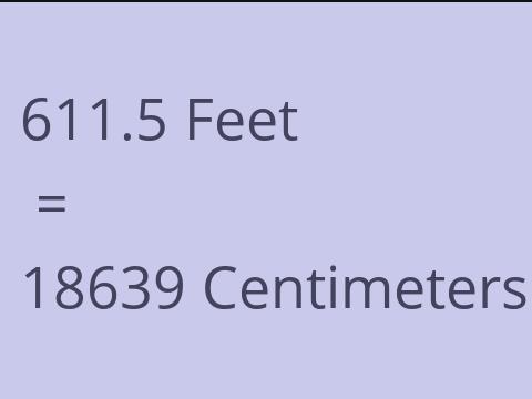 611.5 FEET TO CM