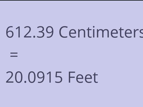 612.39 CM TO FEET