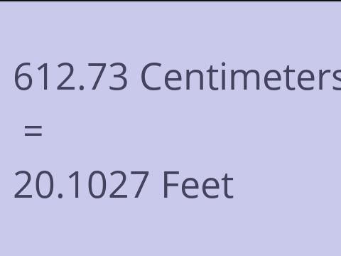 612.73 CM TO FEET