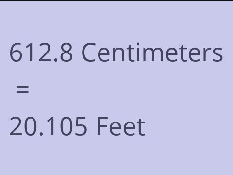 612.8 CM TO FEET