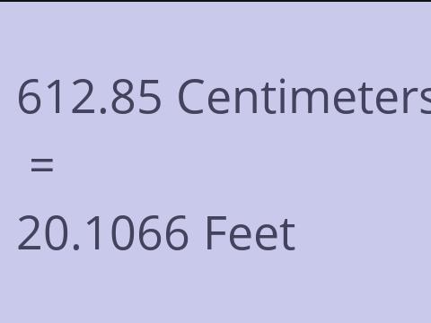 612.85 CM TO FEET