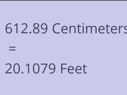 612.89 CM TO FEET