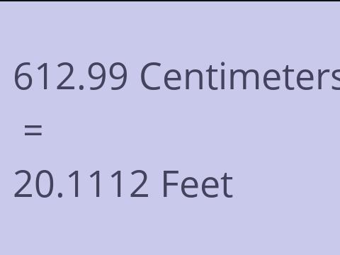 612.99 CM TO FEET