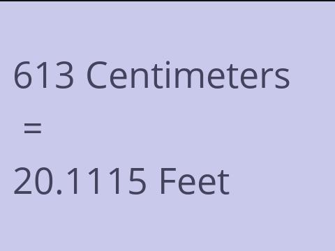 613 CM TO FEET