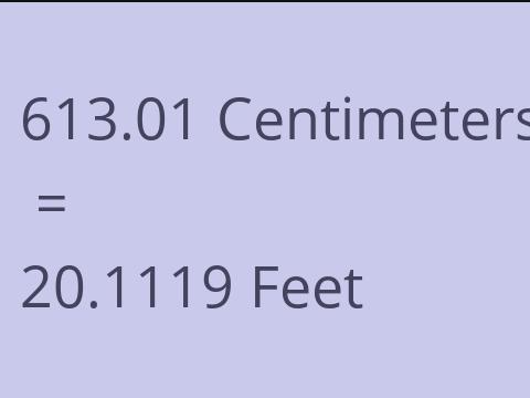 613.01 CM TO FEET