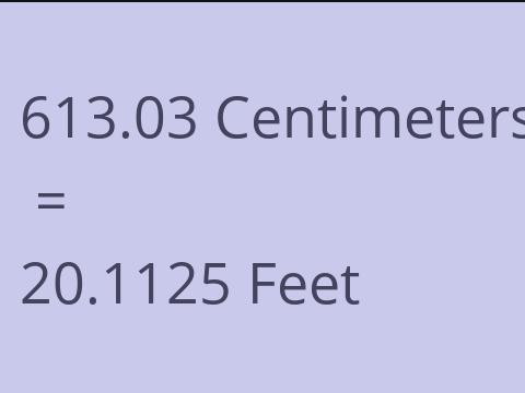 613.03 CM TO FEET