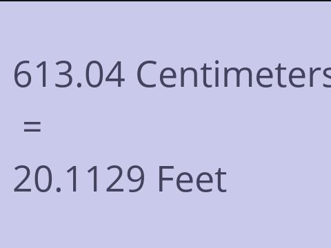 613.04 CM TO FEET