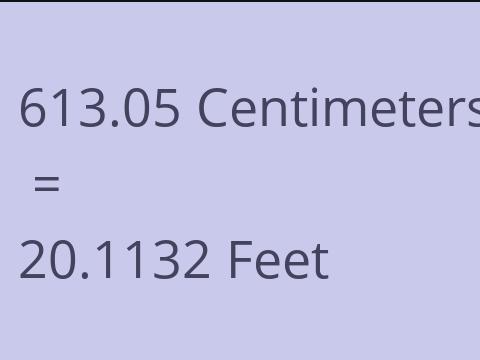 613.05 CM TO FEET