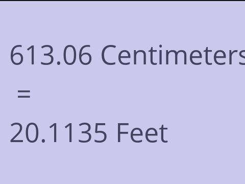 613.06 CM TO FEET