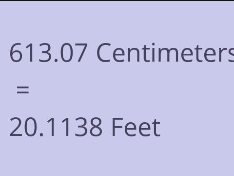 613.07 CM TO FEET