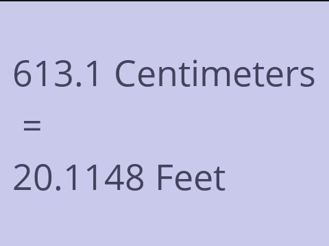 613.1 CM TO FEET