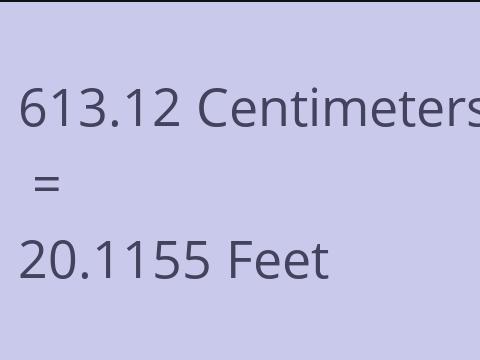 613.12 CM TO FEET