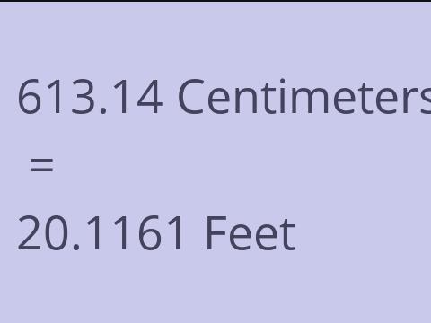 613.14 CM TO FEET