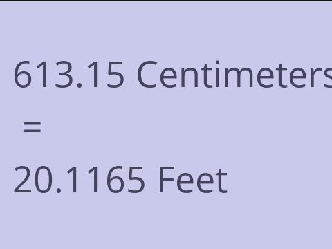 613.15 CM TO FEET