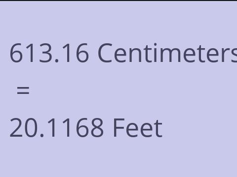 613.16 CM TO FEET