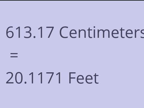 613.17 CM TO FEET